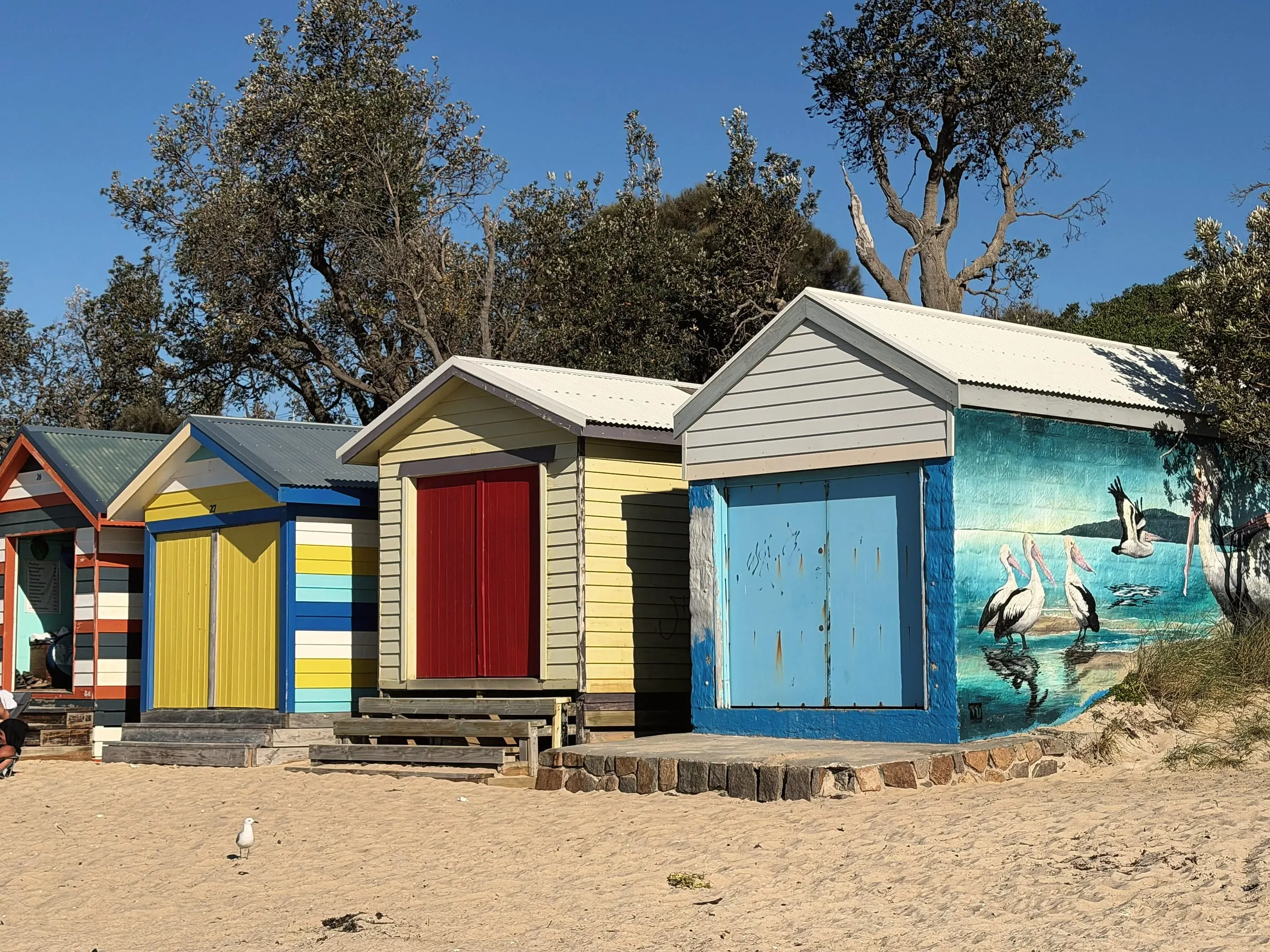 A row of colourful bathing boxes on the sand, one painted with a pelican mural